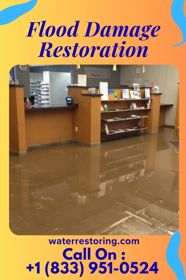 Flood Damage Restoration in Belknap, IL